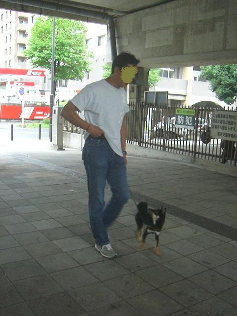 e0025240_2255240.jpg