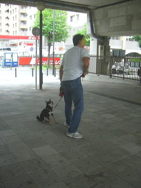 e0025240_2259974.jpg