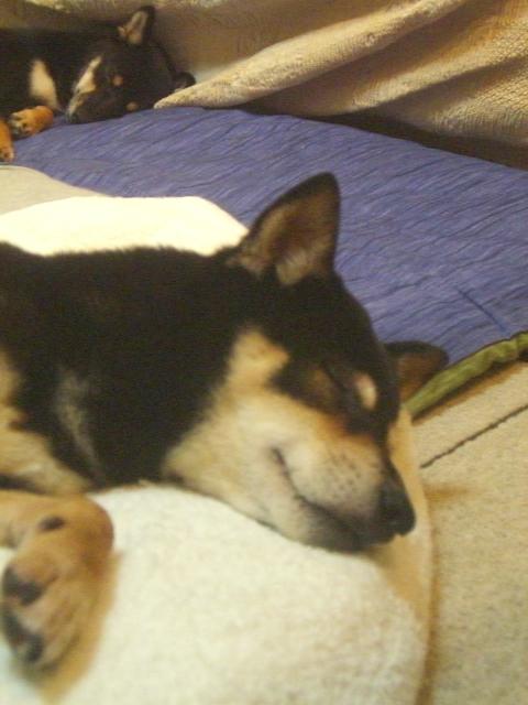 e0025240_2323870.jpg