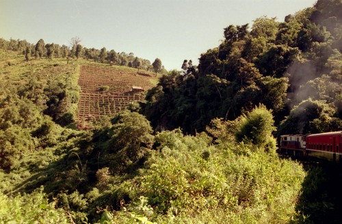 f0055745_16125245.jpg