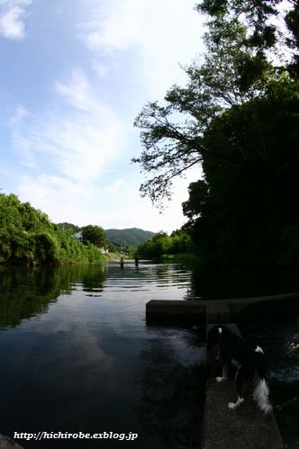 f0039446_22441471.jpg
