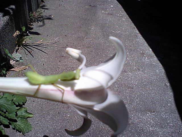 b0130652_14185613.jpg