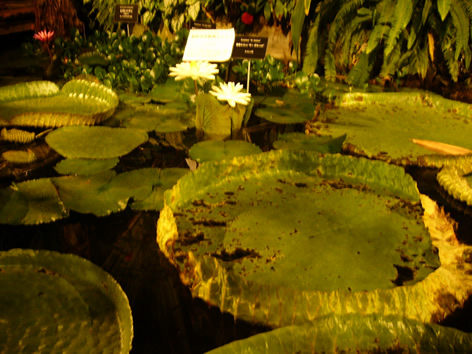 f0067354_0407.jpg