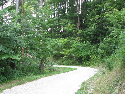 f0160554_18235712.jpg