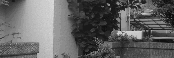 c0062361_2132983.gif