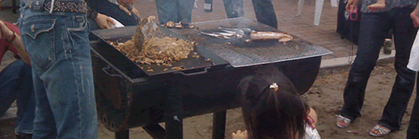 c0062361_21332372.gif