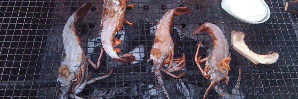 c0062361_2133993.gif