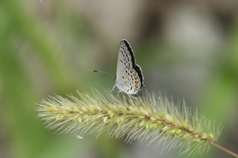 b0088772_8132664.jpg