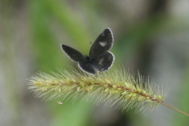 b0088772_8133978.jpg