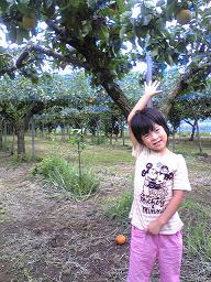 f0103873_2034421.jpg