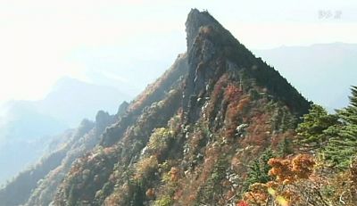 e0022175_720215.jpg
