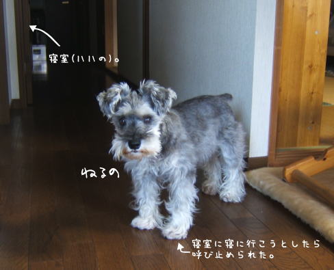 f0145575_1946852.jpg