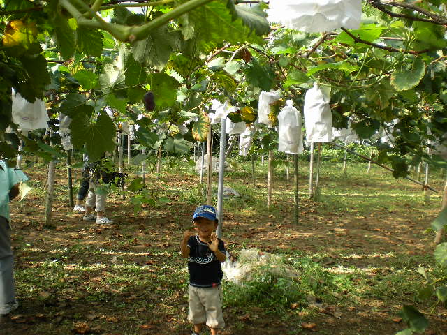 d0040076_21225881.jpg