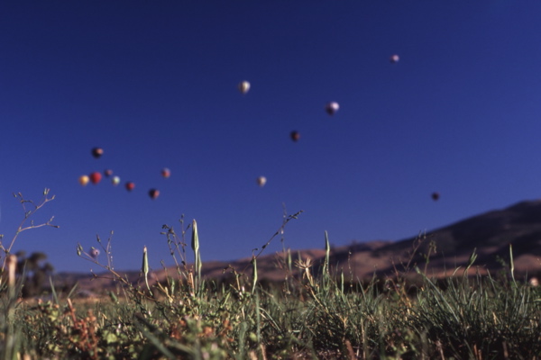 c0143579_14395277.jpg