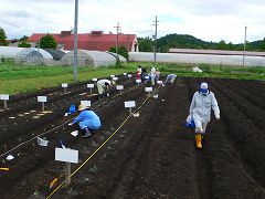 b0042882_2112936.jpg