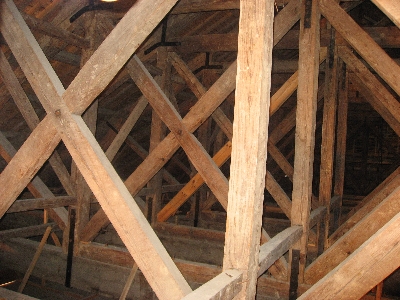 f0003283_1610491.jpg