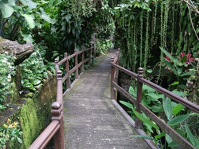 b0101284_17453178.jpg