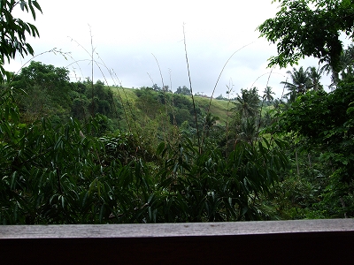 b0101284_1750149.jpg