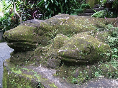 b0101284_18311359.jpg