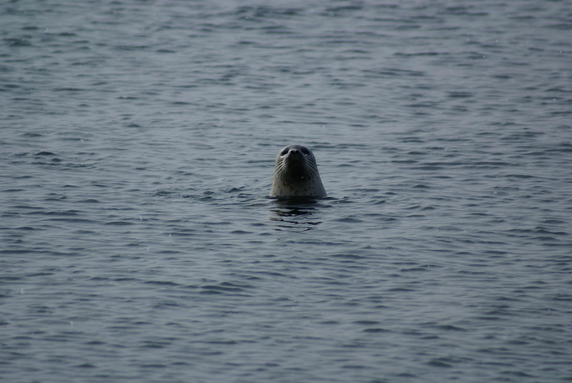 f0005785_7335765.jpg