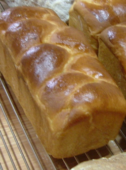 e0030587_8164615.jpg