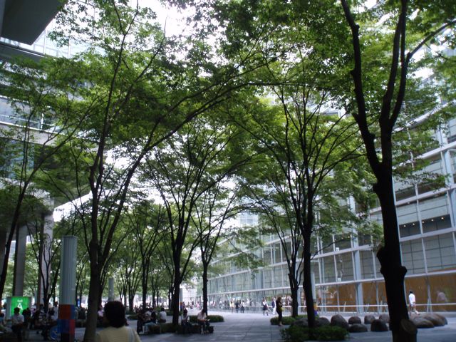 f0130894_17595863.jpg