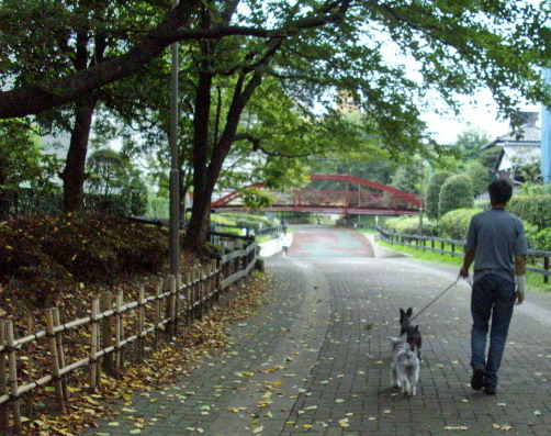 c0138198_114511100.jpg