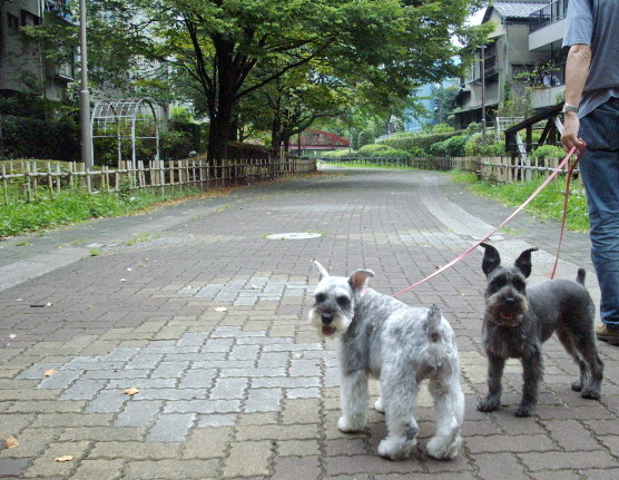 c0138198_11463959.jpg