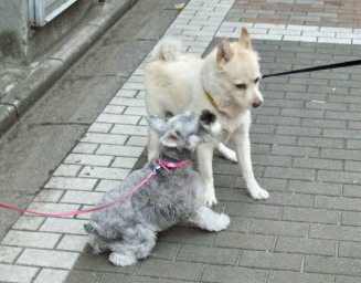 c0138198_1156445.jpg