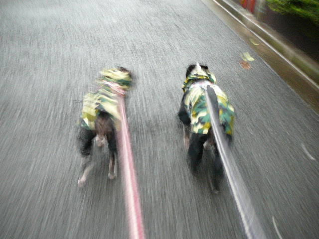 d0070702_9101456.jpg