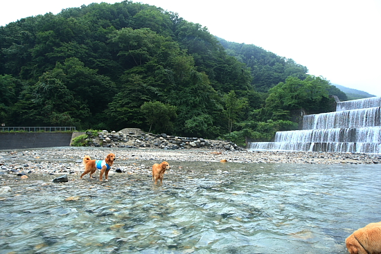 e0117503_6265280.jpg