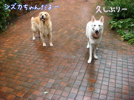 f0064906_1719073.jpg
