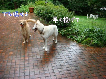 f0064906_17203060.jpg