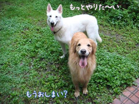 f0064906_17272916.jpg