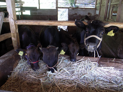 f0135908_2242435.jpg