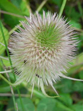 e0046112_21302745.jpg