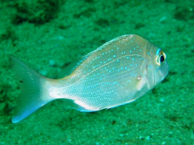 a0000014_2112852.jpg