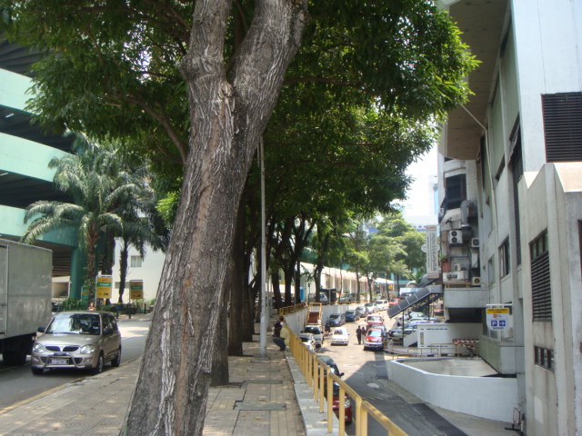 c0145615_8542621.jpg