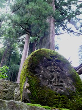 e0097615_11532511.jpg