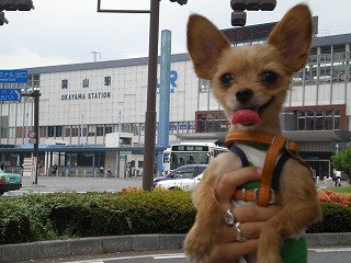 b0144519_16532339.jpg