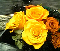 a0052621_23432850.jpg