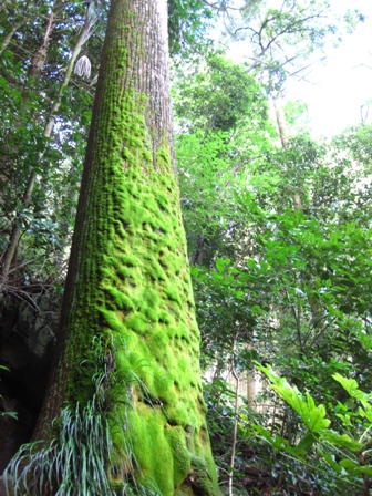c0134522_16435980.jpg