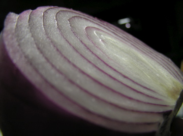 f0128723_1343116.jpg
