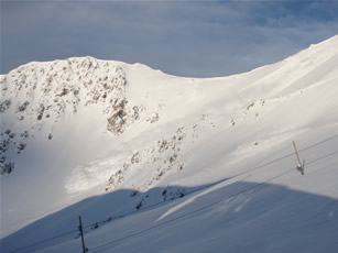 e0039531_7223837.jpg