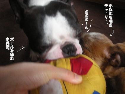 e0103831_1120406.jpg