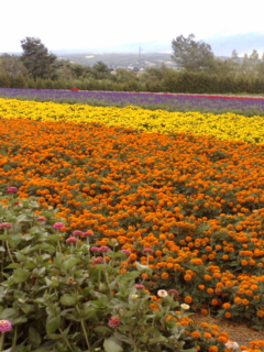 c0136736_19544018.jpg