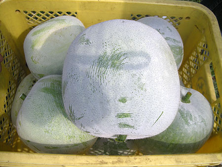 f0001841_75591.jpg