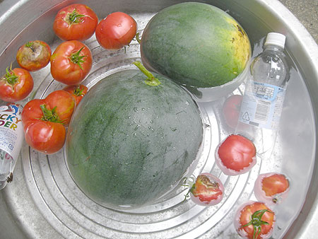 f0001841_78299.jpg