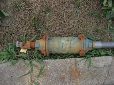 e0020945_935392.jpg