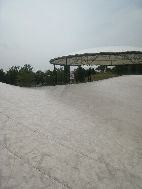 f0140257_10221296.jpg